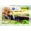 ALZOO Plant-Based Flea and Tick Repellent Shampoo for Dogs, 12oz