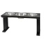 Black/Ebony - Farmhouse 3 Bowl Elevated Regular Feeder -  16 Inch