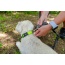 Kiwi Green  - Appalachian Kiwi Green Dog Collar - Small 5/8in wide by 8