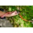 Natchez Pattern Flat Dog Leash - Small 5/8in. wide by 6ft. long
