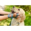 Tidal Pattern Flat Dog Leash - Large 1in. wide by 6ft. long