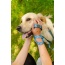 Tidal Pattern Flat Dog Leash - Small 5/8in. wide by 6ft. long