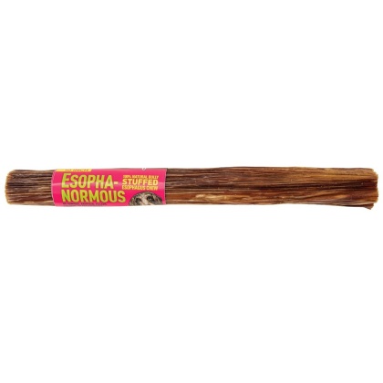 Etta Says! Esopha-normous Bully Stuffed Esophagus Chew 10in 18ct