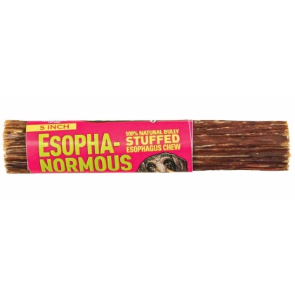 Etta Says! Esopha-normous Bully Stuffed Esophagus Chew 5in 20ct Bag