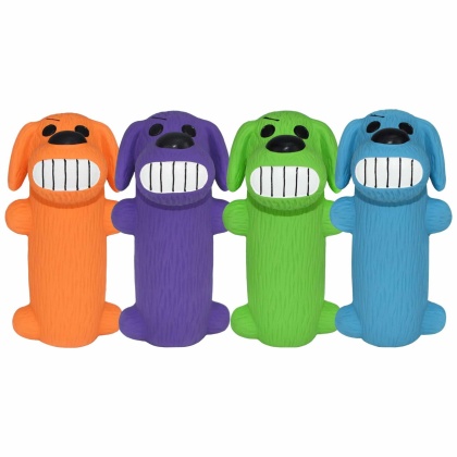 Multipet Minipet LOOfA(R) Latex Dog Chew Toy Assorted Colors 5\