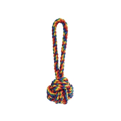Rainbow - Jax & Bones Celtic Knot Rope Dog Toy   - Small 3\