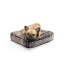 Frosted Willow - Rectangle Bed  MD -Frosted Willow - MD - 32