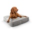 Frosted Snow - Rectangle Bed LG - Frosted Snow - LG - 46