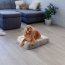 Frosted Snow - Rectangle Bed MD - Frosted Snow - MD - 32